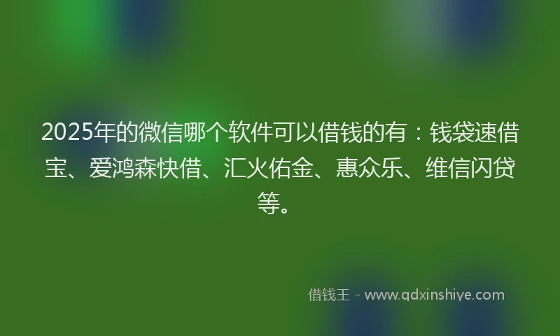 2025年的微信哪个软件可以借钱的有：钱袋速借宝、爱鸿森快借、汇火佑金、惠众乐、维信闪贷等。