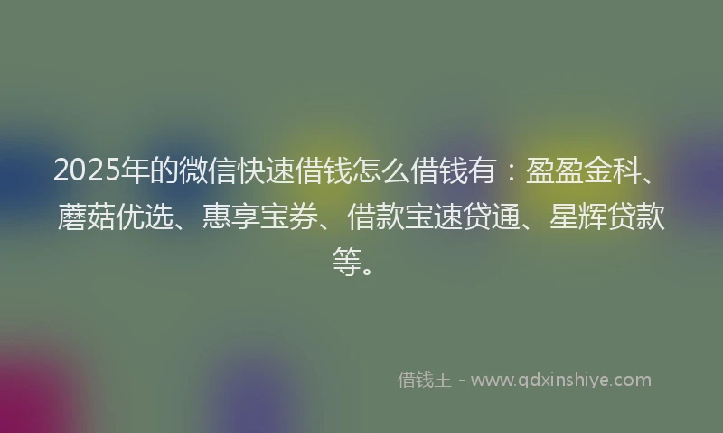 2025年的微信快速借钱怎么借钱有：盈盈金科、蘑菇优选、惠享宝券、借款宝速贷通、星辉贷款等。