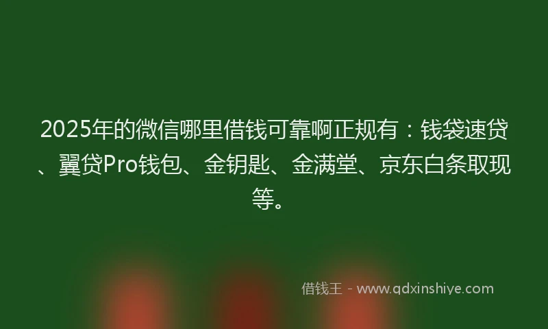 2025年的微信哪里借钱可靠啊正规有：钱袋速贷、翼贷Pro钱包、金钥匙、金满堂、京东白条取现等。