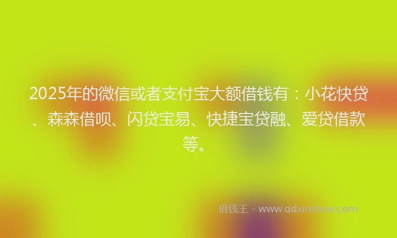 2025年的微信或者支付宝大额借钱有：小花快贷、森森借呗、闪贷宝易、快捷宝贷融、爱贷借款等。