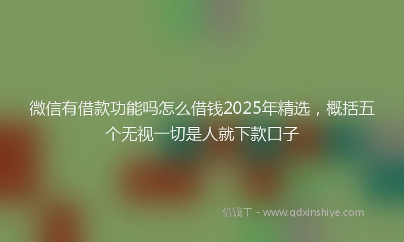 微信有借款功能吗怎么借钱2025年精选，概括五个无视一切是人就下款口子
