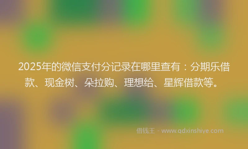 2025年的微信支付分记录在哪里查有：分期乐借款、现金树、朵拉购、理想给、星辉借款等。