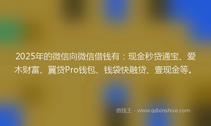 2025年的微信向微信借钱有：现金秒贷通宝、爱木财富、翼贷Pro钱包、钱袋快融贷、壹现金等。