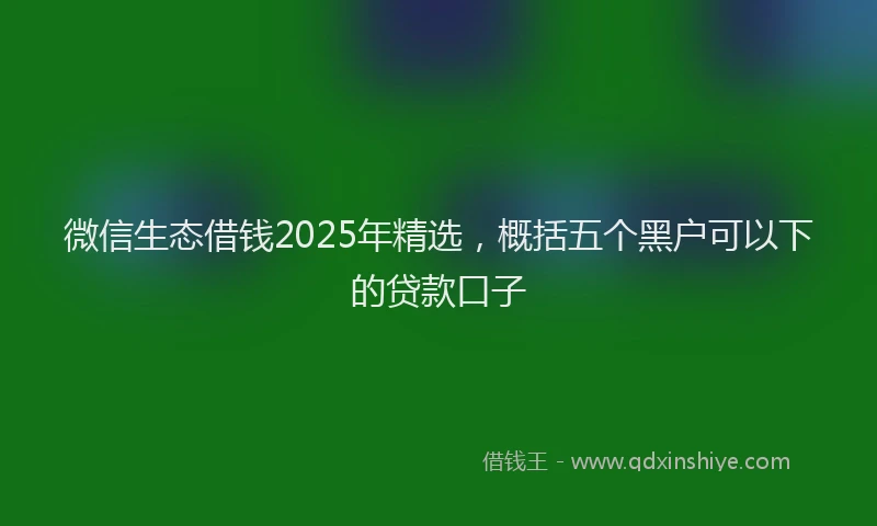 微信生态借钱2025年精选，概括五个黑户可以下的贷款口子