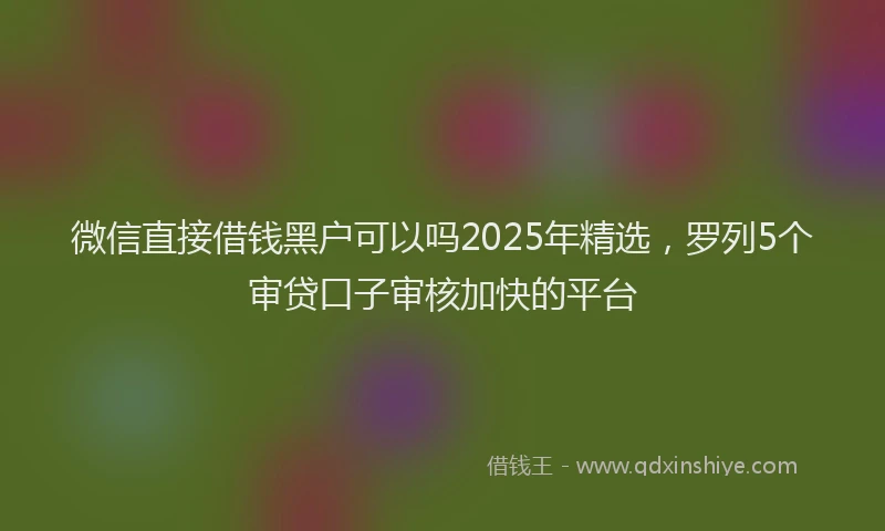 微信直接借钱黑户可以吗2025年精选，罗列5个审贷口子审核加快的平台