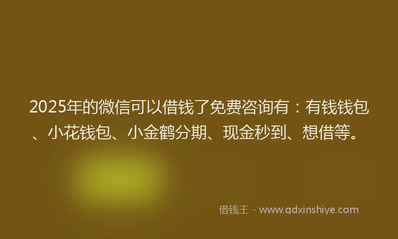 2025年的微信可以借钱了免费咨询有：有钱钱包、小花钱包、小金鹤分期、现金秒到、想借等。