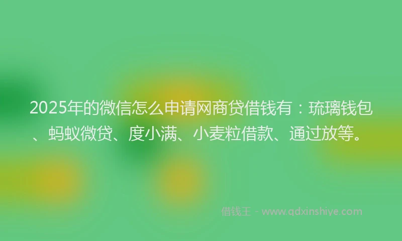 2025年的微信怎么申请网商贷借钱有：琉璃钱包、蚂蚁微贷、度小满、小麦粒借款、通过放等。