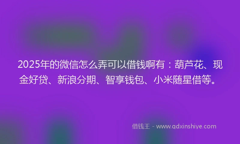 2025年的微信怎么弄可以借钱啊有：葫芦花、现金好贷、新浪分期、智享钱包、小米随星借等。