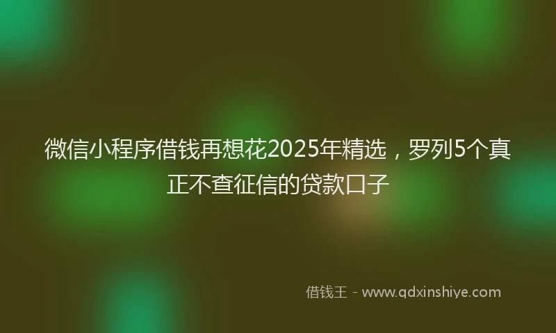 微信小程序借钱再想花2025年精选，罗列5个真正不查征信的贷款口子