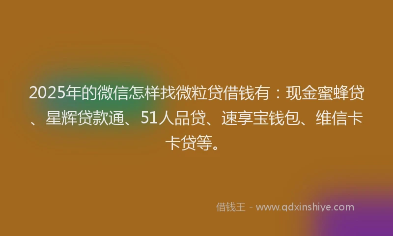 2025年的微信怎样找微粒贷借钱有：现金蜜蜂贷、星辉贷款通、51人品贷、速享宝钱包、维信卡卡贷等。