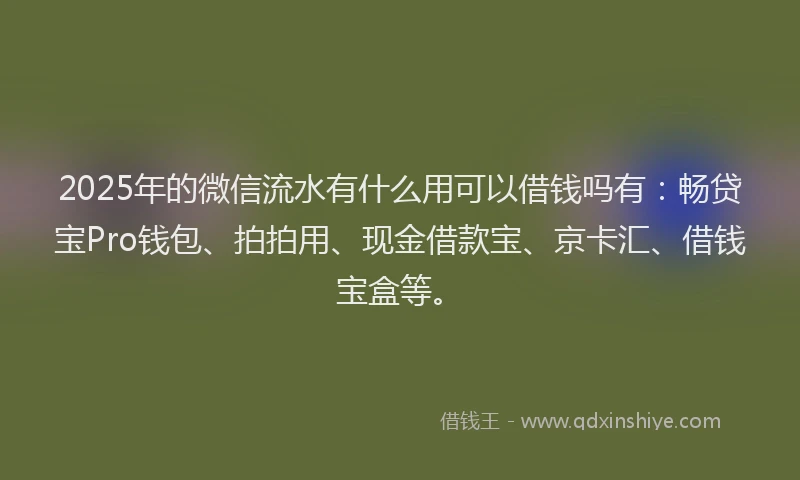 2025年的微信流水有什么用可以借钱吗有：畅贷宝Pro钱包、拍拍用、现金借款宝、京卡汇、借钱宝盒等。
