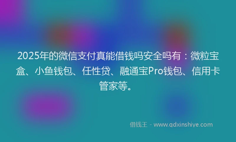 2025年的微信支付真能借钱吗安全吗有：微粒宝盒、小鱼钱包、任性贷、融通宝Pro钱包、信用卡管家等。