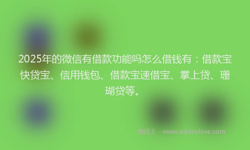 2025年的微信有借款功能吗怎么借钱有：借款宝快贷宝、信用钱包、借款宝速借宝、掌上贷、珊瑚贷等。