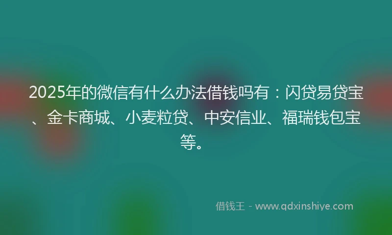 2025年的微信有什么办法借钱吗有：闪贷易贷宝、金卡商城、小麦粒贷、中安信业、福瑞钱包宝等。