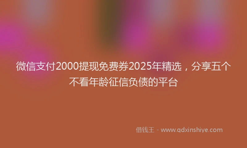 微信支付2000提现免费券2025年精选，分享五个不看年龄征信负债的平台
