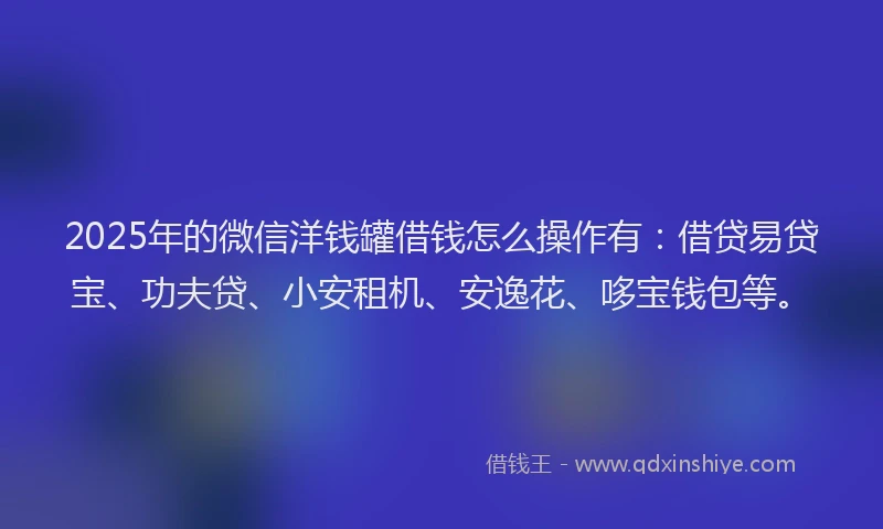 2025年的微信洋钱罐借钱怎么操作有：借贷易贷宝、功夫贷、小安租机、安逸花、哆宝钱包等。