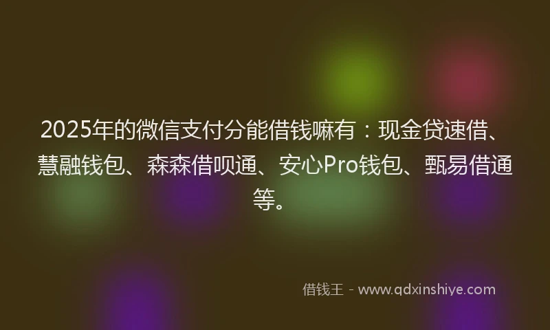 2025年的微信支付分能借钱嘛有：现金贷速借、慧融钱包、森森借呗通、安心Pro钱包、甄易借通等。