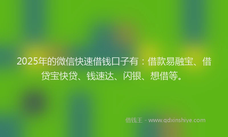 2025年的微信快速借钱口子有：借款易融宝、借贷宝快贷、钱速达、闪银、想借等。