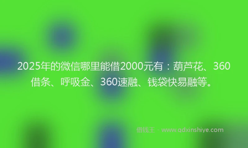 2025年的微信哪里能借2000元有：葫芦花、360借条、呼吸金、360速融、钱袋快易融等。