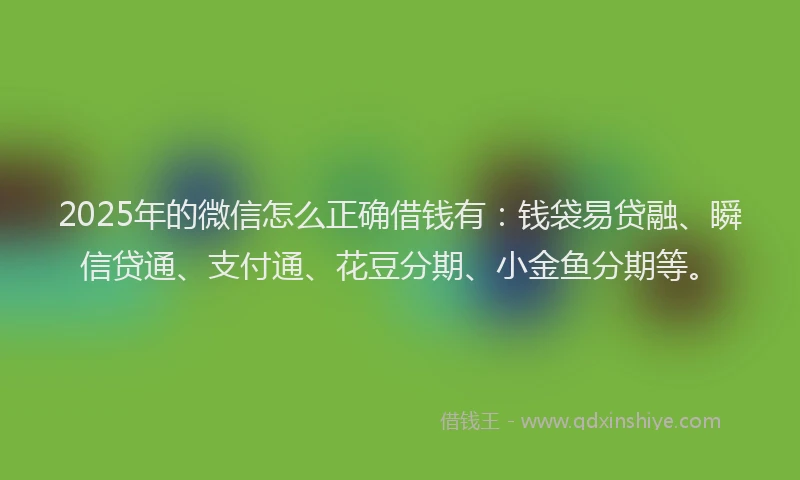 2025年的微信怎么正确借钱有：钱袋易贷融、瞬信贷通、支付通、花豆分期、小金鱼分期等。