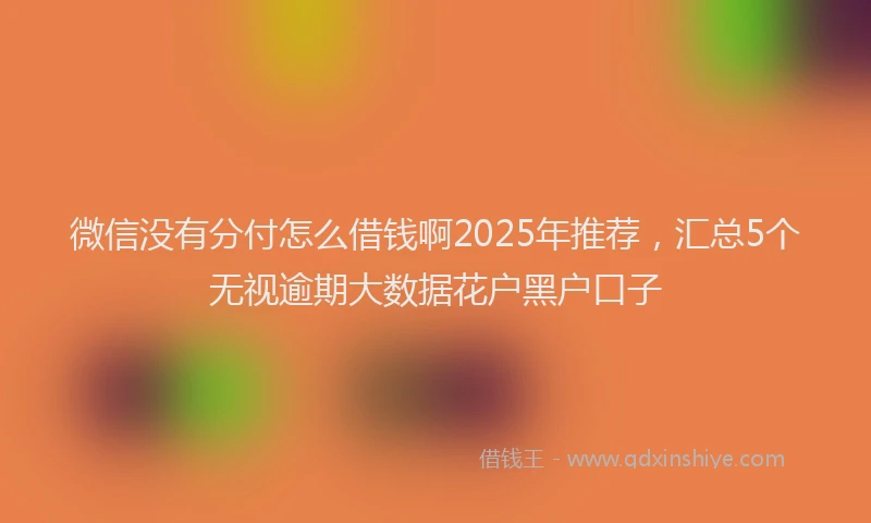 微信没有分付怎么借钱啊2025年推荐，汇总5个无视逾期大数据花户黑户口子