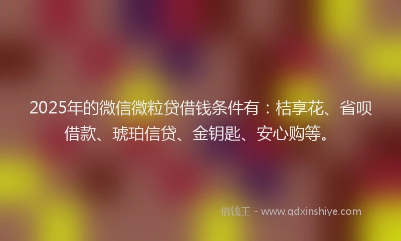 2025年的微信微粒贷借钱条件有：桔享花、省呗借款、琥珀信贷、金钥匙、安心购等。