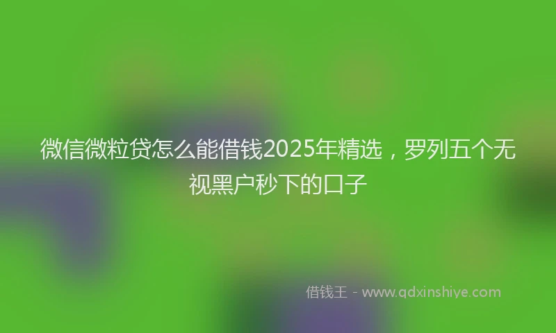 微信微粒贷怎么能借钱2025年精选，罗列五个无视黑户秒下的口子
