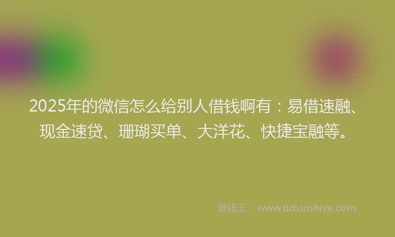 2025年的微信怎么给别人借钱啊有：易借速融、现金速贷、珊瑚买单、大洋花、快捷宝融等。