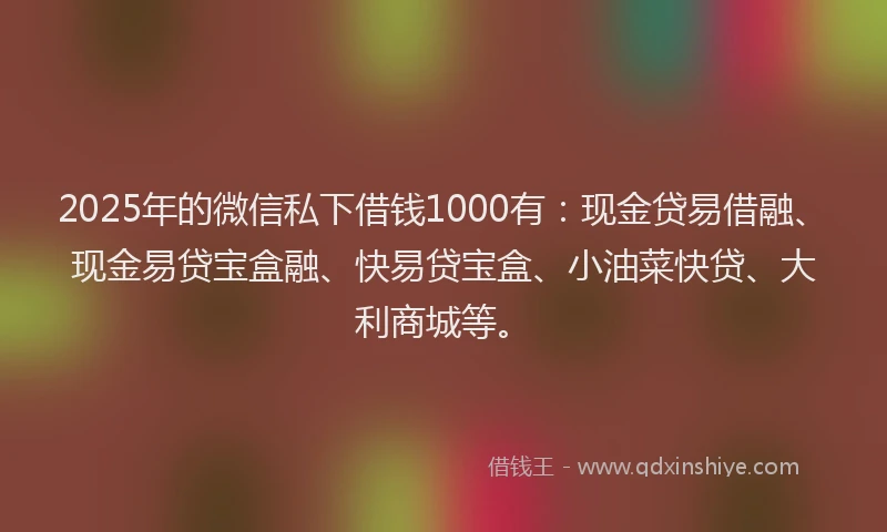 2025年的微信私下借钱1000有：现金贷易借融、现金易贷宝盒融、快易贷宝盒、小油菜快贷、大利商城等。