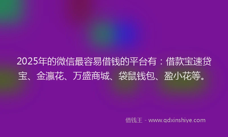 2025年的微信最容易借钱的平台有：借款宝速贷宝、金瀛花、万盛商城、袋鼠钱包、盈小花等。