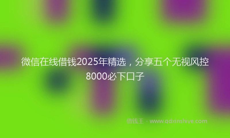 微信在线借钱2025年精选，分享五个无视风控8000必下口子