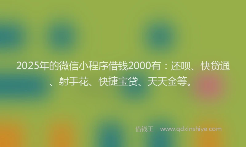 2025年的微信小程序借钱2000有：还呗、快贷通、射手花、快捷宝贷、天天金等。