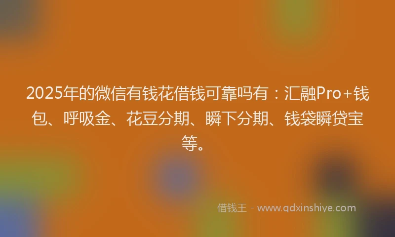 2025年的微信有钱花借钱可靠吗有：汇融Pro+钱包、呼吸金、花豆分期、瞬下分期、钱袋瞬贷宝等。