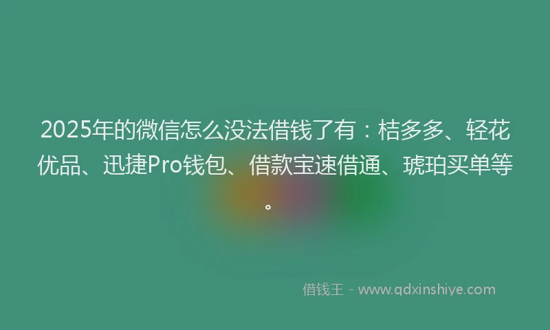 2025年的微信怎么没法借钱了有：桔多多、轻花优品、迅捷Pro钱包、借款宝速借通、琥珀买单等。