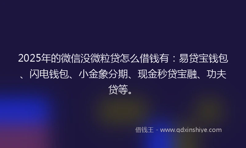 2025年的微信没微粒贷怎么借钱有：易贷宝钱包、闪电钱包、小金象分期、现金秒贷宝融、功夫贷等。