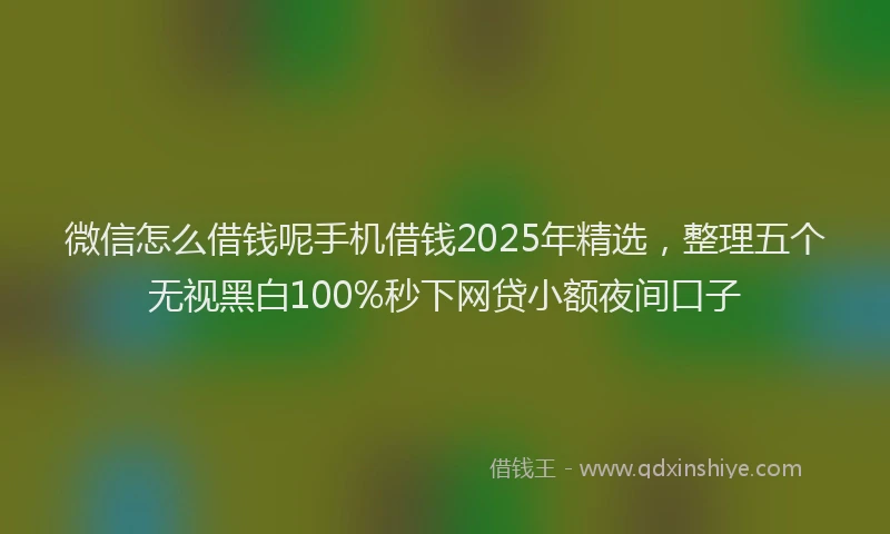 微信怎么借钱呢手机借钱2025年精选，整理五个无视黑白100%秒下网贷小额夜间口子
