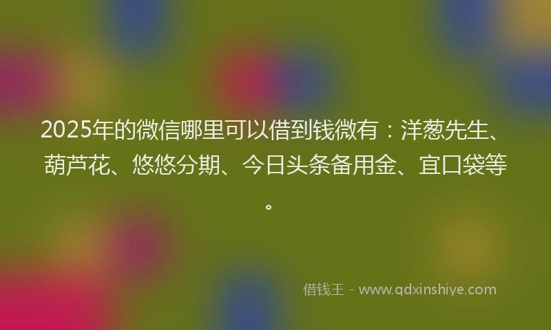 2025年的微信哪里可以借到钱微有：洋葱先生、葫芦花、悠悠分期、今日头条备用金、宜口袋等。