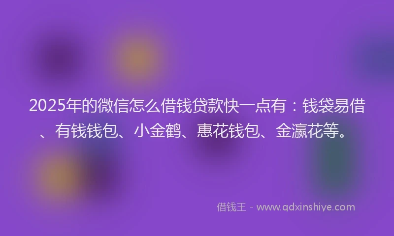 2025年的微信怎么借钱贷款快一点有：钱袋易借、有钱钱包、小金鹤、惠花钱包、金瀛花等。