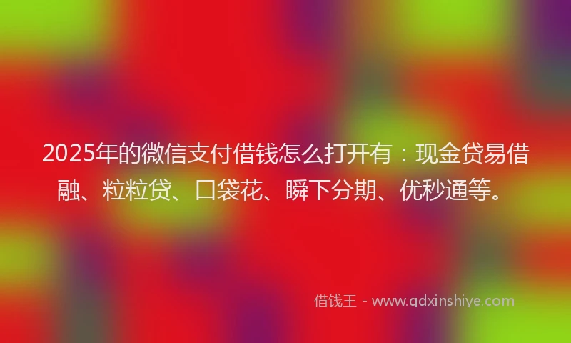 2025年的微信支付借钱怎么打开有：现金贷易借融、粒粒贷、口袋花、瞬下分期、优秒通等。