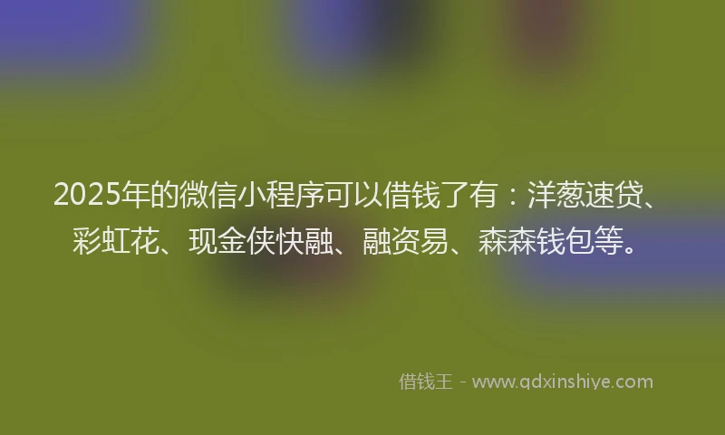 2025年的微信小程序可以借钱了有：洋葱速贷、彩虹花、现金侠快融、融资易、森森钱包等。