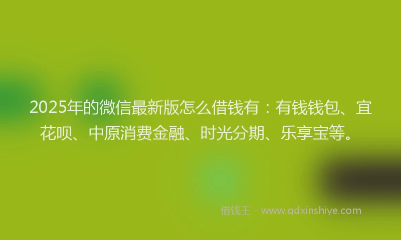 2025年的微信最新版怎么借钱有：有钱钱包、宜花呗、中原消费金融、时光分期、乐享宝等。