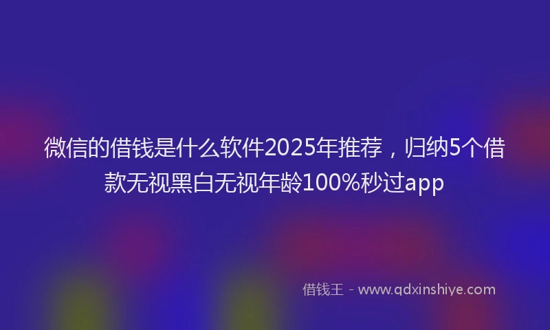 微信的借钱是什么软件2025年推荐，归纳5个借款无视黑白无视年龄100%秒过app