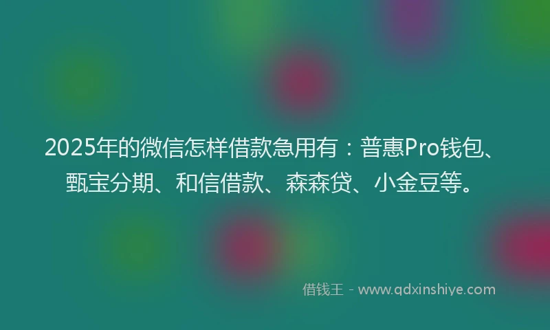 2025年的微信怎样借款急用有：普惠Pro钱包、甄宝分期、和信借款、森森贷、小金豆等。
