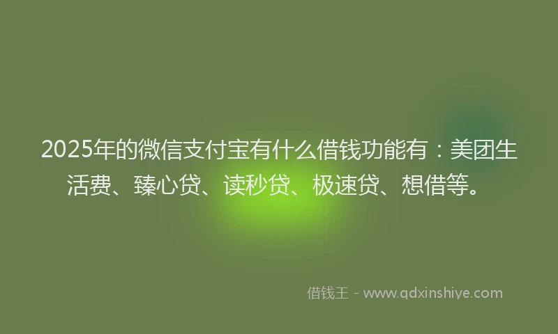 2025年的微信支付宝有什么借钱功能有：美团生活费、臻心贷、读秒贷、极速贷、想借等。