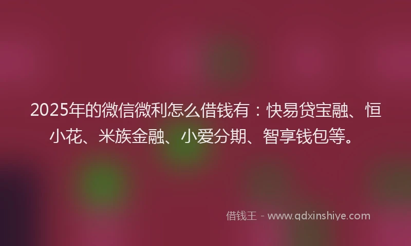 2025年的微信微利怎么借钱有：快易贷宝融、恒小花、米族金融、小爱分期、智享钱包等。