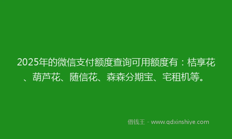 2025年的微信支付额度查询可用额度有：桔享花、葫芦花、随信花、森森分期宝、宅租机等。