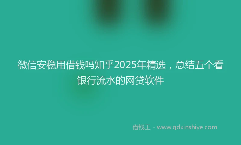 微信安稳用借钱吗知乎2025年精选，总结五个看银行流水的网贷软件