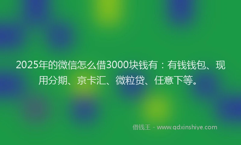 2025年的微信怎么借3000块钱有：有钱钱包、现用分期、京卡汇、微粒贷、任意下等。