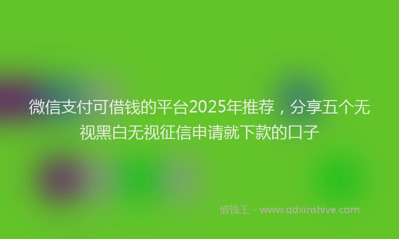 微信支付可借钱的平台2025年推荐，分享五个无视黑白无视征信申请就下款的口子