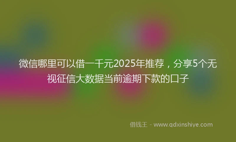微信哪里可以借一千元2025年推荐，分享5个无视征信大数据当前逾期下款的口子